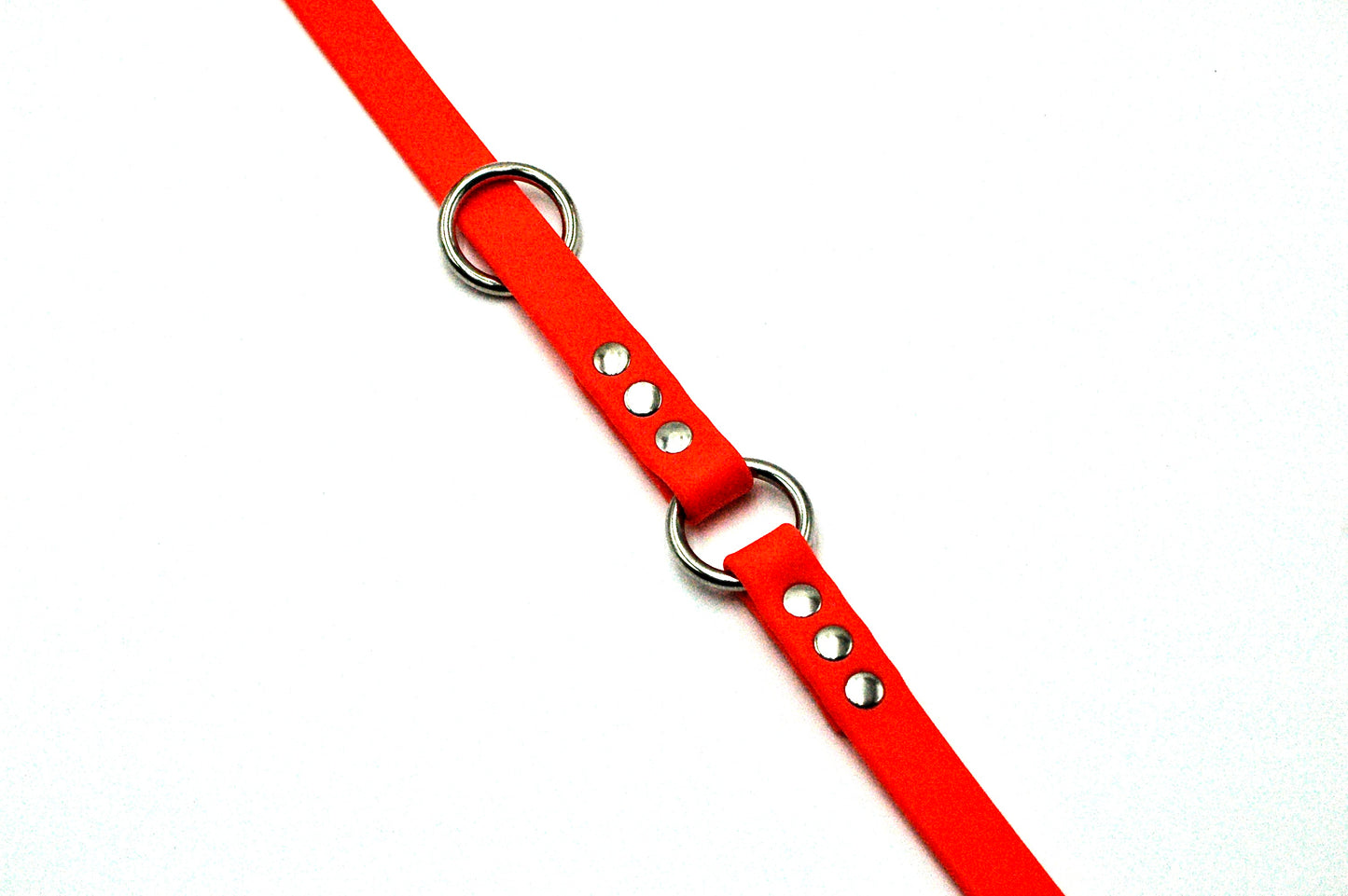 Biothane Leash