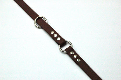 Biothane Leash