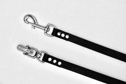 Leather Leash