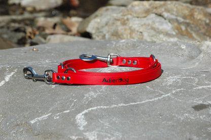 Biothane Leash